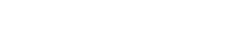 Avlanche Logo